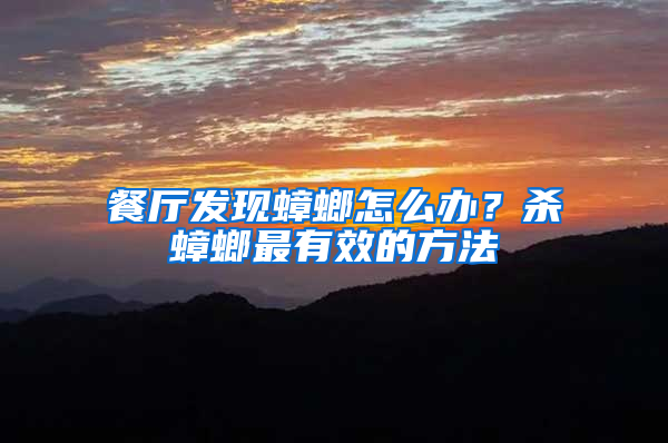 餐廳發現蟑螂怎么辦？殺蟑螂最有效的方法