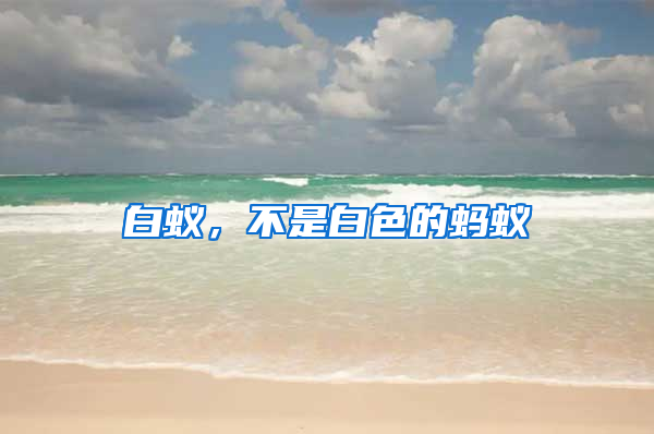 白蟻，不是白色的螞蟻