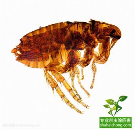 工廠除四害公司滯留噴灑注意事項(xiàng)